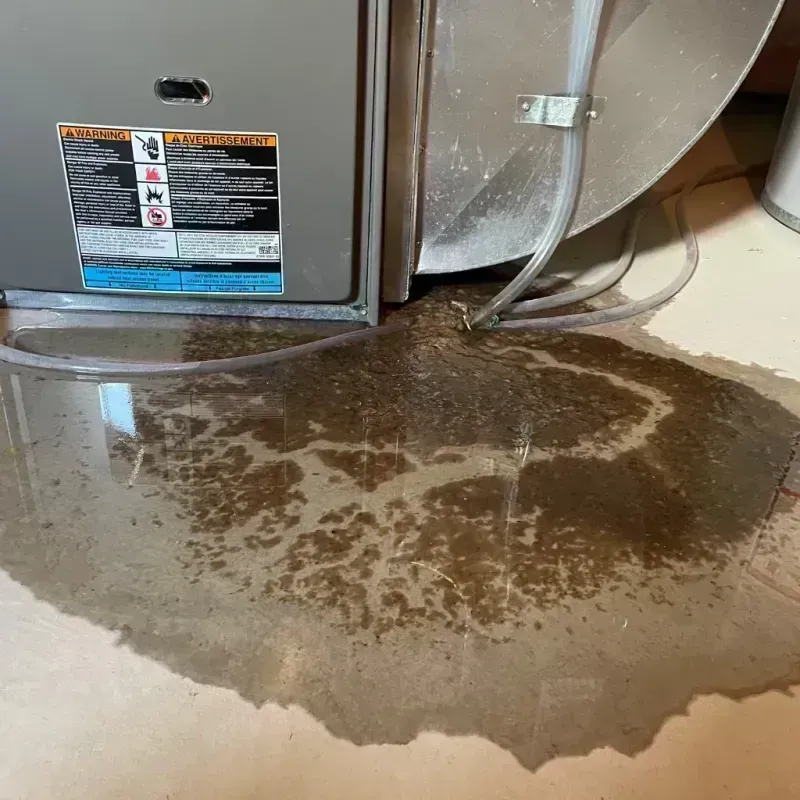 Appliance Leak Cleanup in Charenton, LA